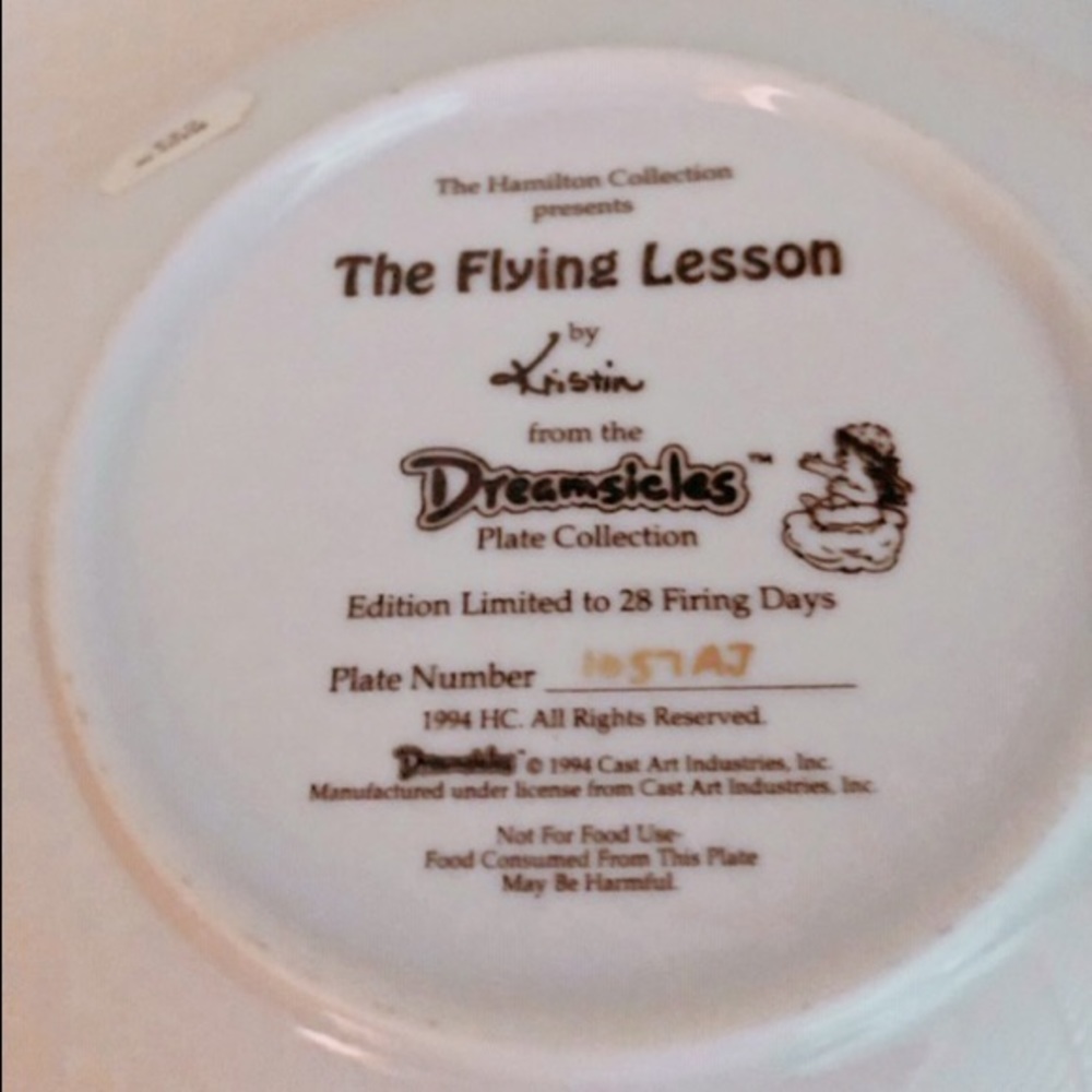 The Dreamsicles Plate Flying Lessons - Picture 2 of 2